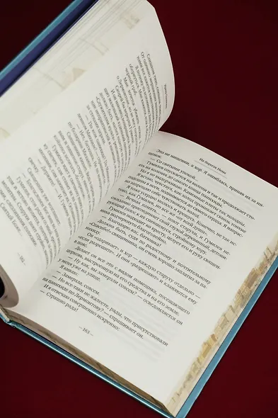 На берегах Невы - фото 13