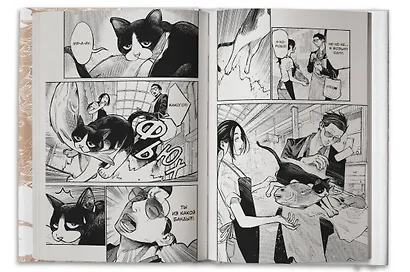 Путь домохозяина. Том 4 (Gokushufudou). Манга - фото 8