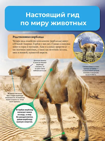 Мир животных - фото 5