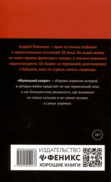 Маленький солдат: рассказы, очерки. - фото 2