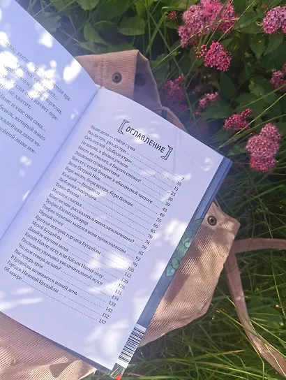 Амир и безумный ингредиент - фото 11