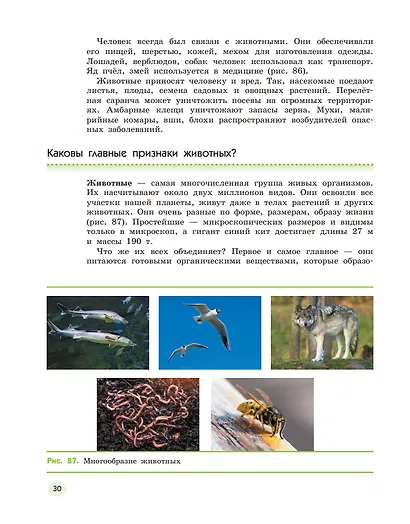 Естествознание. 5 класс. Учебник. В двух частях. Часть 2 - фото 3