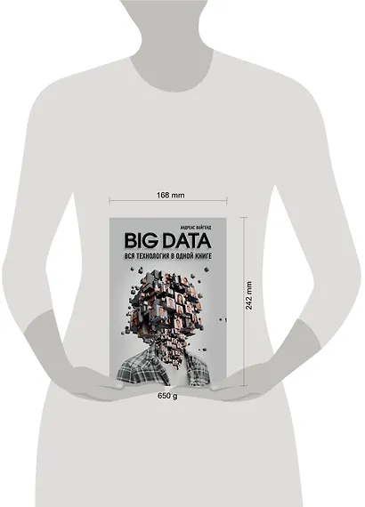 BIG DATA. Вся технология в одной книге - фото 4