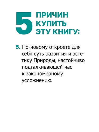 Метафизика развития. Усложнение как объект управления - фото 8