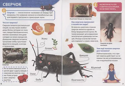 ЭНЦИКЛОПЕДИЯ ДЛЯ МАЛЕНЬКИХ ПОЧЕМУЧЕК. Насекомые - фото 6