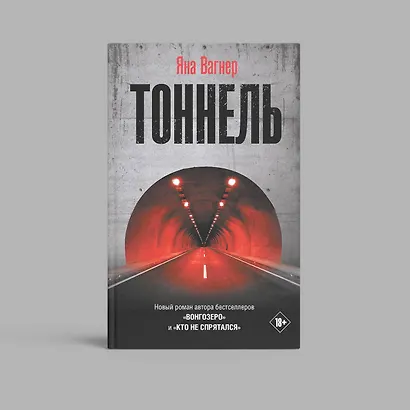 Тоннель. Роман - фото 6