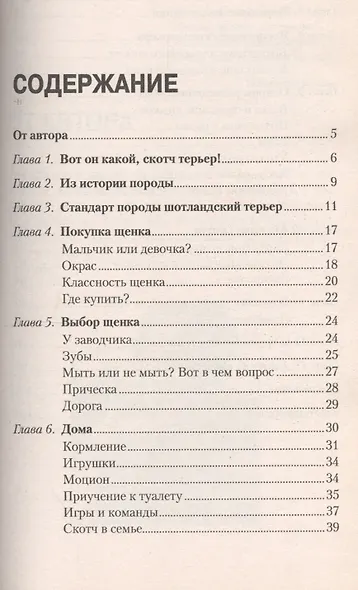 Скотч терьер. Маленький джентельмен (н/о) - фото 2