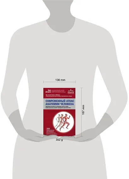 Современный атлас анатомии человека. Карманное пособие по строению костей, мышц, миофасциальных цепей и принципам движения тела - фото 7