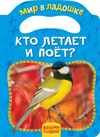 Кто летает и поет? - фото 1