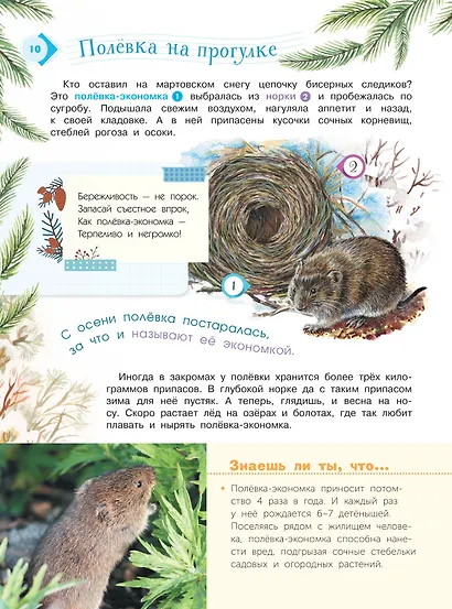 Энциклопедия для мальчиков и девочек. Наша природа - фото 11