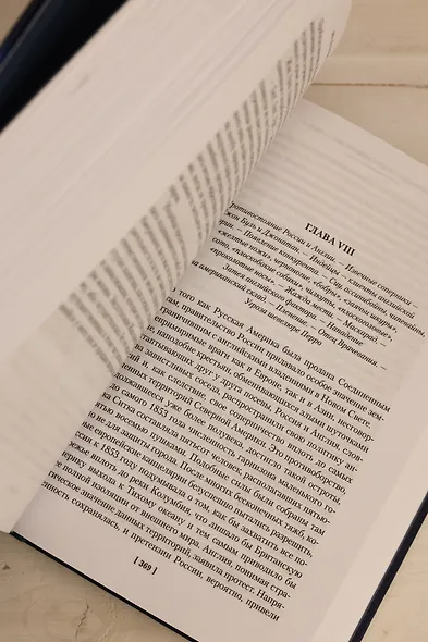 Из Парижа в Бразилию по суше - фото 15