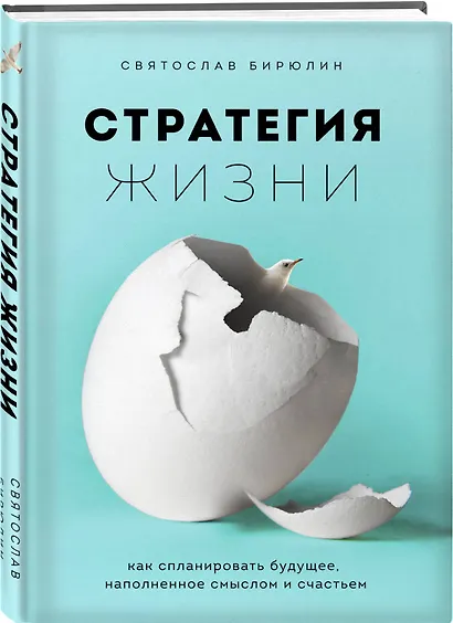 Стратегия жизни. Как спланировать будущее, наполненное смыслом и счастьем - фото 3