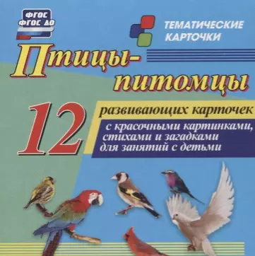 Птицы-питомцы. 12 развивающих карточек с красочными картинками, стихами и загадками для занятий с детьми - фото 1