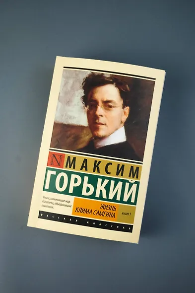 Жизнь Клима Самгина. В 2 кн. Книга 1 - фото 5