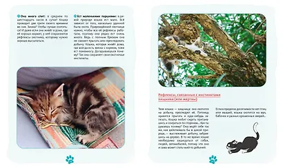 Я и моя кошка. Как понять питомца и стать ему другом - фото 13