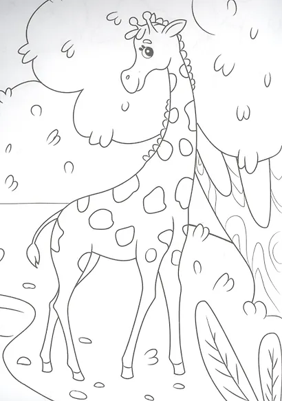 В зоопарке. Раскраска - фото 2