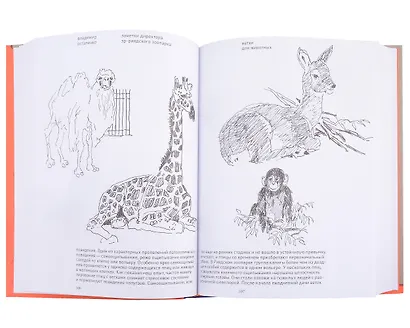 Заметки директора Эр-Риярдского зоопарка - фото 4