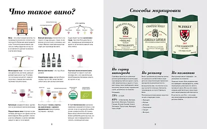 Wine Folly. Издание Магнум, детализированное - фото 4