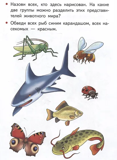 Изучаем окружающий мир (4-5 лет) - фото 4