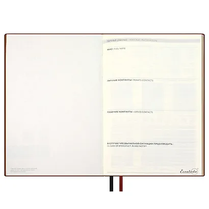 Ежедневник недат. А5+ 160л 175*245 "Шеврет" черный, кожзам, мягк.переплет, блинтовое тиснение, офсет, ляссе - фото 4