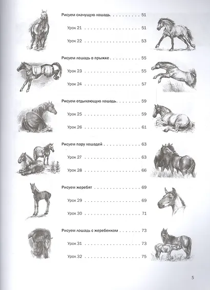 Пошаговые уроки рисования. Рисуем лошадей - фото 4