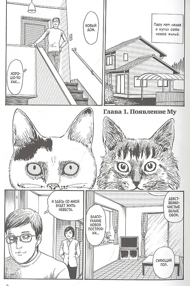 Кошачий дневник: Ён и Му. Манга - фото 3