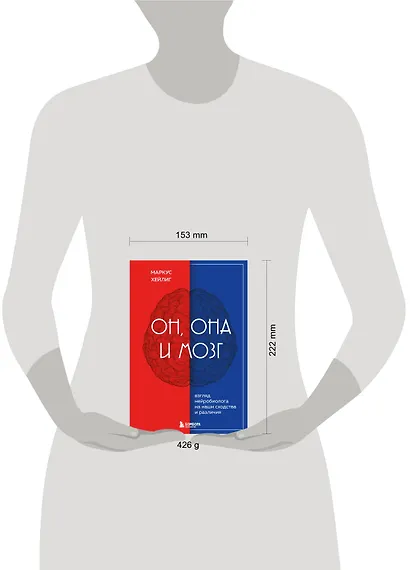 Он, она и мозг: взгляд нейробиолога на наши сходства и различия - фото 7