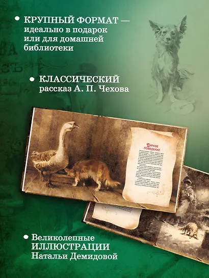 Каштанка - фото 4