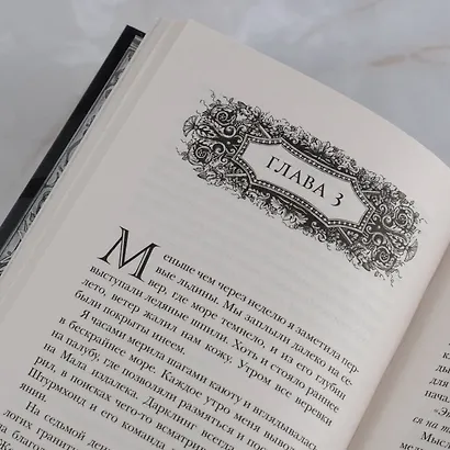 Штурм и буря - фото 11