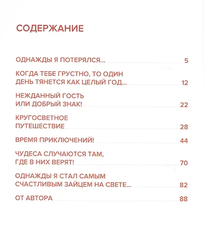 Таинственное исчезновение - фото 2