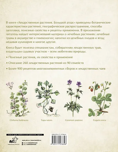 Лекарственные растения. Большой атлас - фото 2