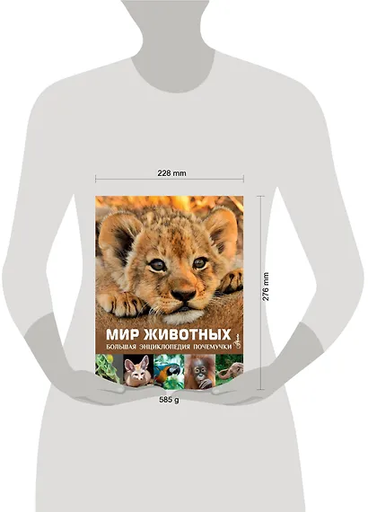 Мир животных - фото 11