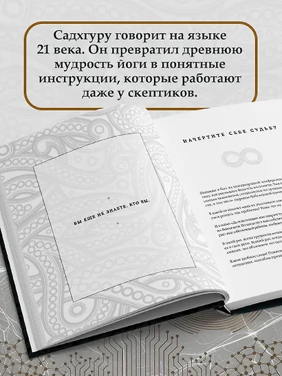 Внутренняя инженерия. Путь радости. Практическое руководство от йога - фото 7