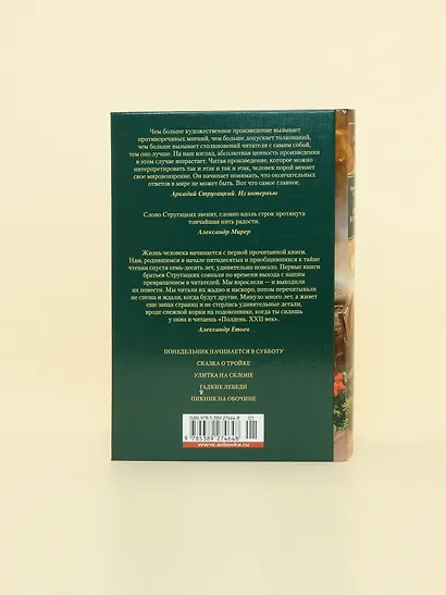 Пикник на обочине. Время выбора - фото 10