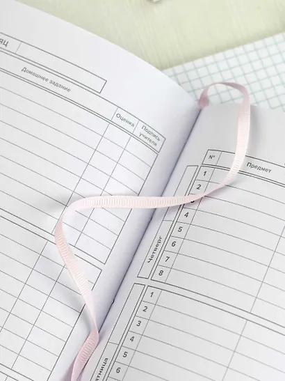 Дневник шк. "Розовые сердечки" кожзам, тв.переплёт, шелкография в одну краску, блинт.тиснение, пантон, одно ляссе, загругл.углы, универс.шпаргалка - фото 8