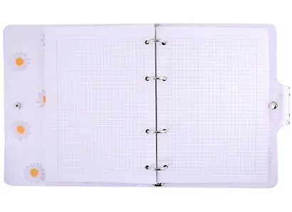 Тетрадь на кольцах в клетку InFolio, Camomiles, 120 листов - фото 3