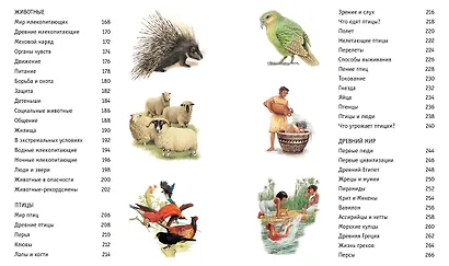 Большая книга знаний - фото 10