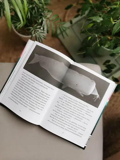 Миссия дикого робота - фото 10