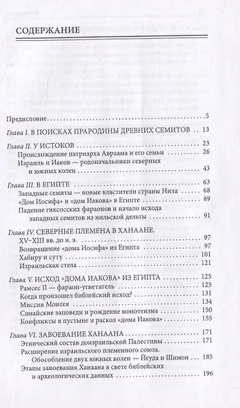 Библейский Израиль. История двух народов - фото 2