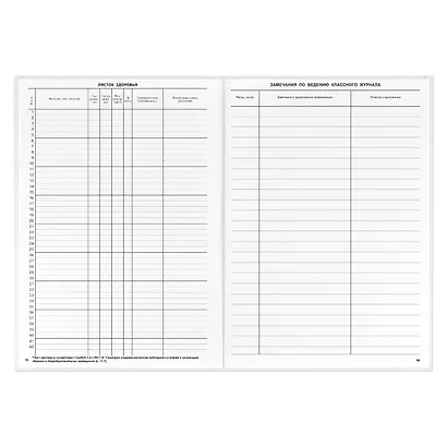 Классный журнал, 10-11 класс, А4 - фото 6