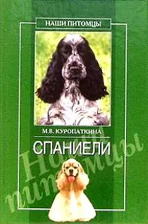 Спаниели - фото 1