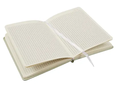 Блокнот для записей А6+ в клетку, 96 листов "Flowers" твердая обложка, оливковый с рамкой, с ляссе - фото 10