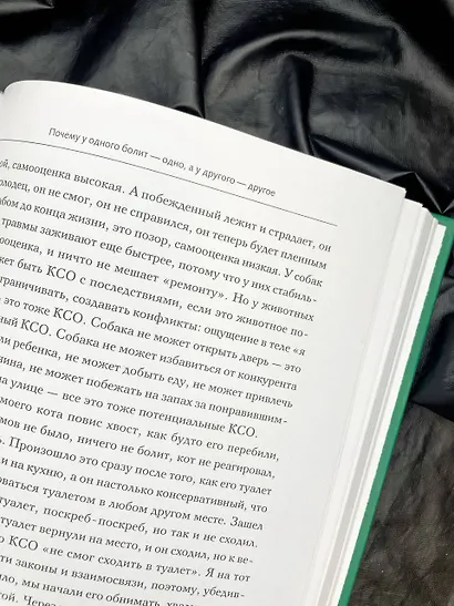 Доказательная психосоматика: факты и научный подход. Очень полезная книга для всех, кто думает о здоровье - фото 15