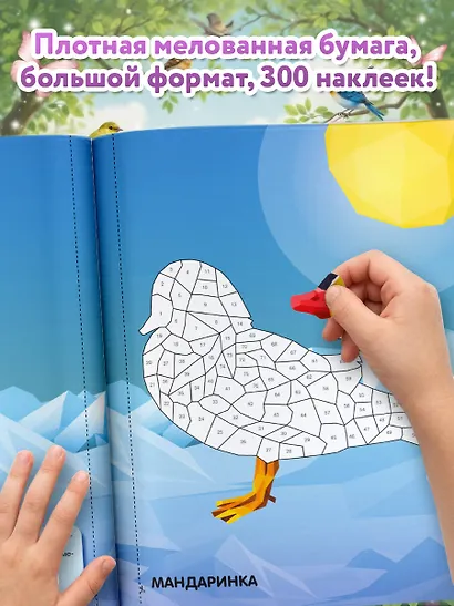 Птицы - фото 6