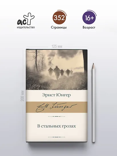 В стальных грозах - фото 4