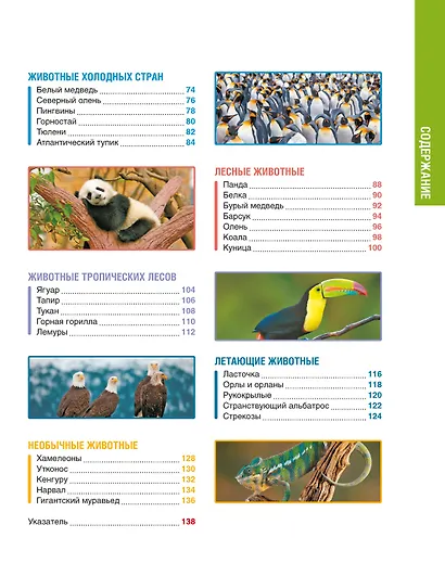 В мире животных - фото 13