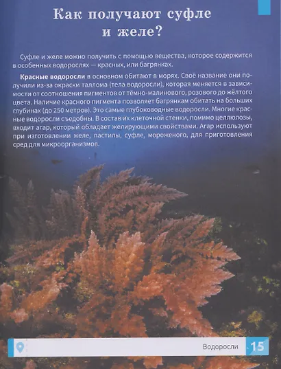 Растения: энциклопедия - фото 5