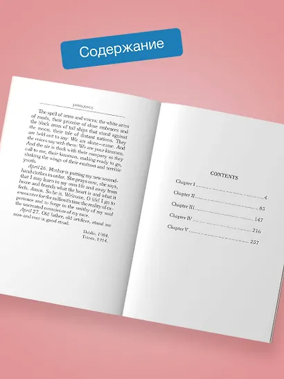 A Portrait of the Artist as a Young Man - фото 5