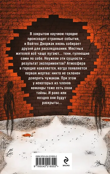 Дом безликих теней - фото 2