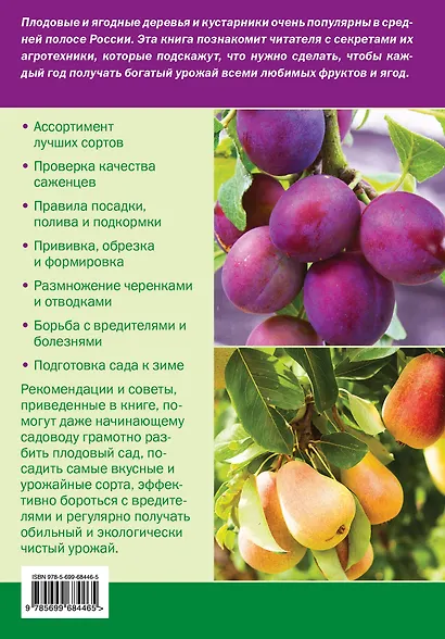 Плодовые и ягодные культуры - фото 2